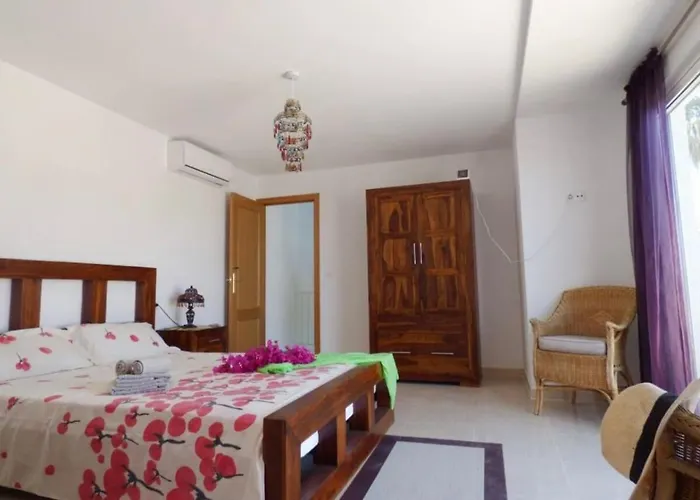 Casa Violetta * Alicante