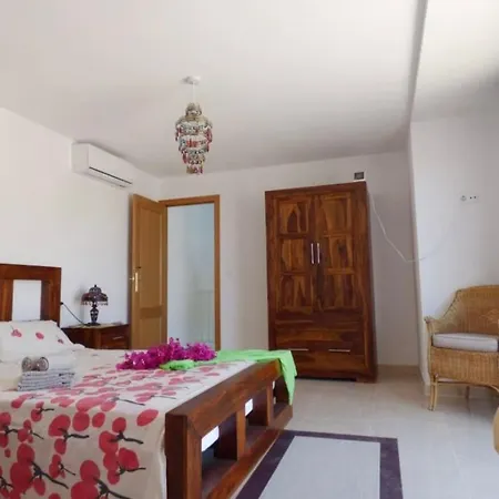 Casa Violetta * アリカンテ